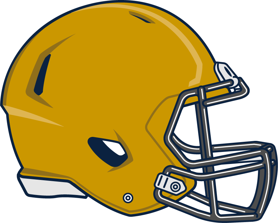 Notre Dame Fighting Irish 2015-Pres Helmet Logo DIY iron on transfer (heat transfer)